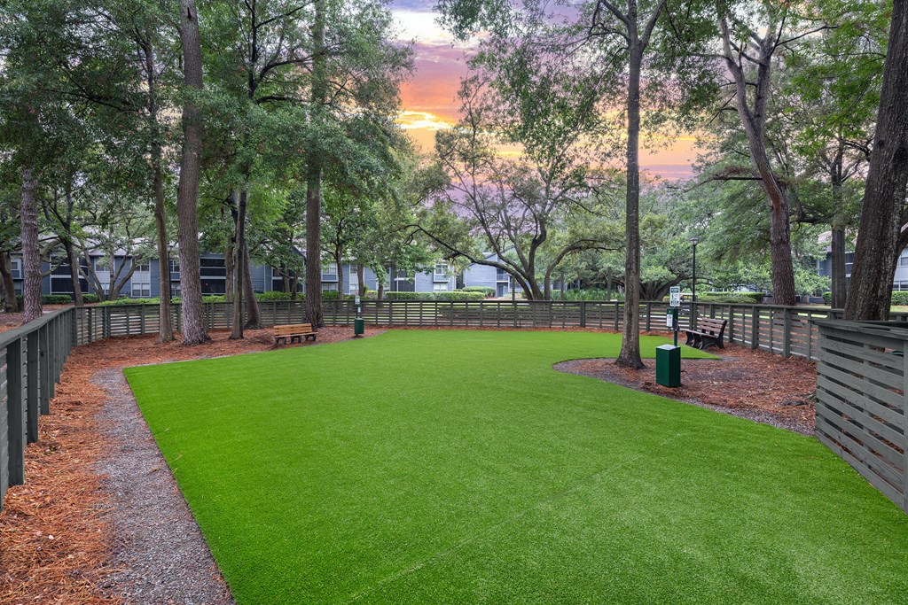 A green lawn surrounded by trees and a fence.