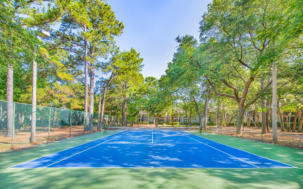a blue and green basketball court in a park with trees