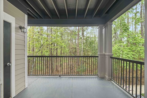 A balcony with a black railing and a view of a wooded area.