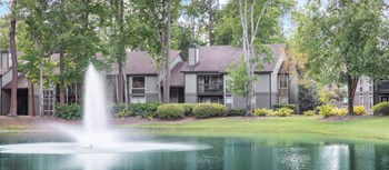 10275 Old St. Augustine Rd 1-3 Beds Apartment for Rent - Photo Gallery 3