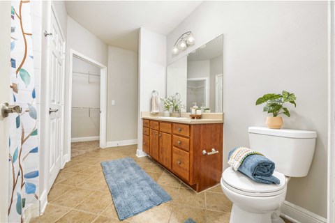 a bathroom with a toilet sink and mirror and a shower
