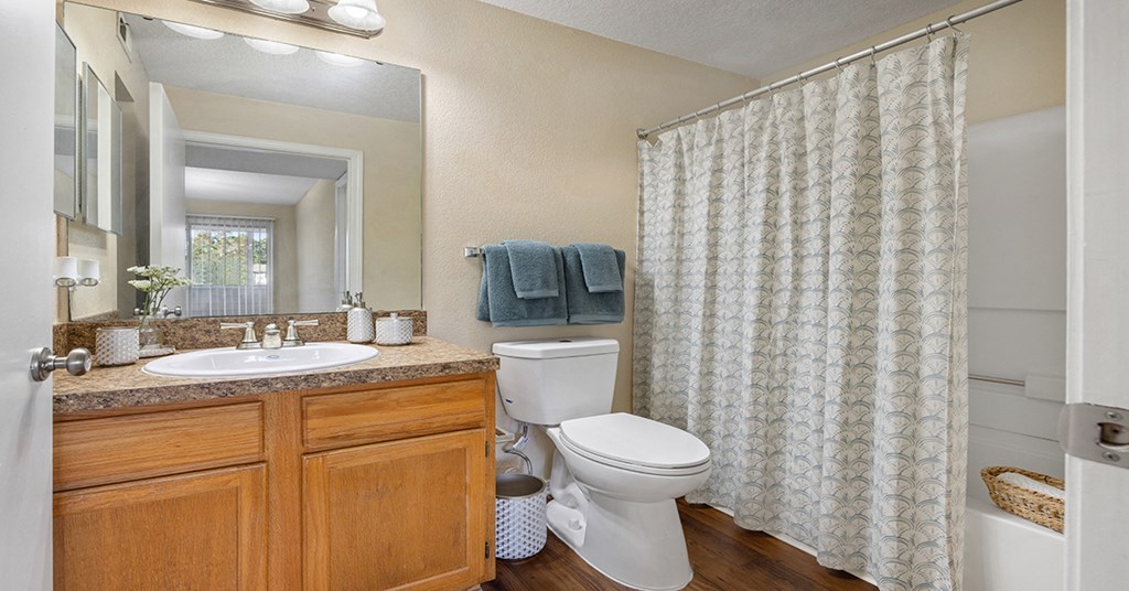 A bathroom with a toilet, sink, and shower curtain.