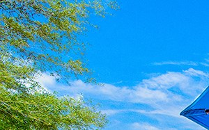 3900 Oldfield Crossing Dr 1-3 Beds Apartment for Rent - Photo Gallery