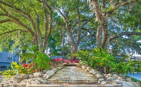 a set of stairs under trees and plants