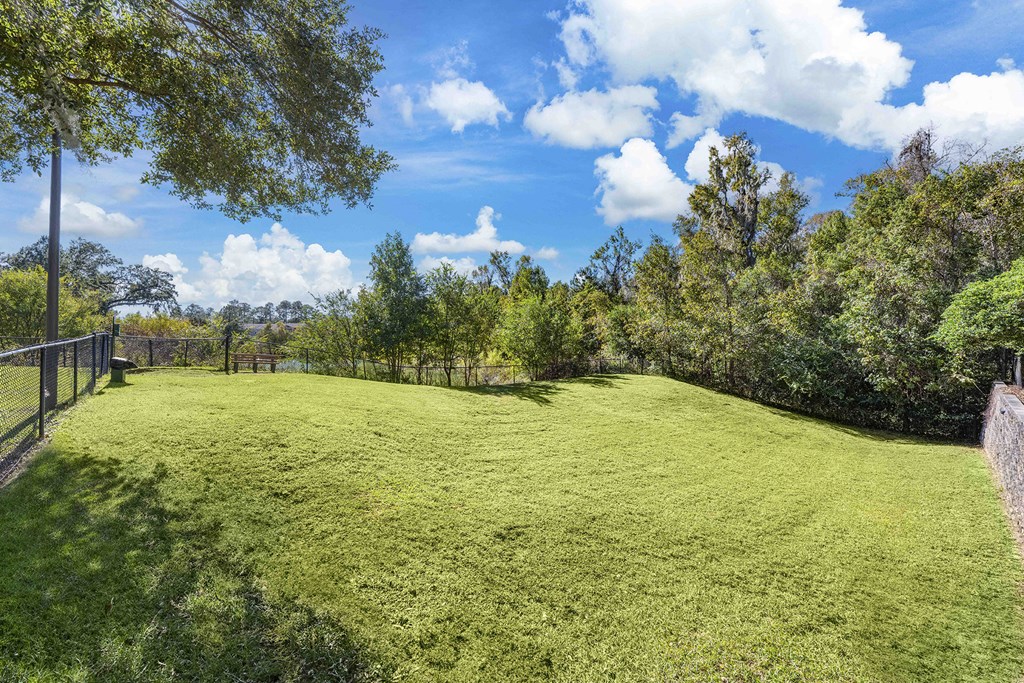 A large, well-maintained lawn with a fence and trees in the background.