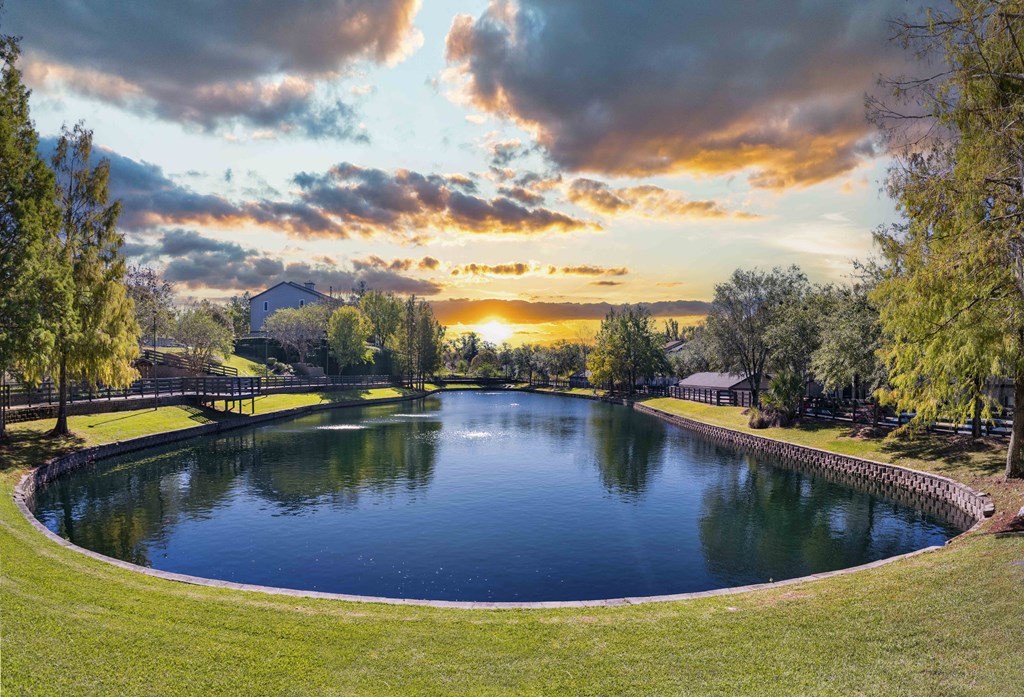 A serene landscape with a pond, trees, and a sunset.