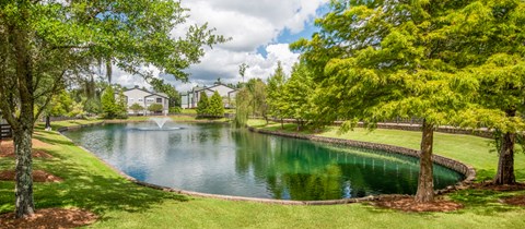 a pond with a fountain in the middle of a park