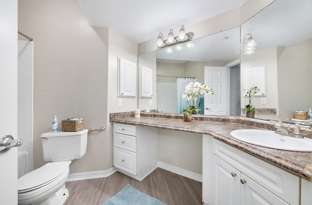 a bathroom with a toilet and a sink and a mirror