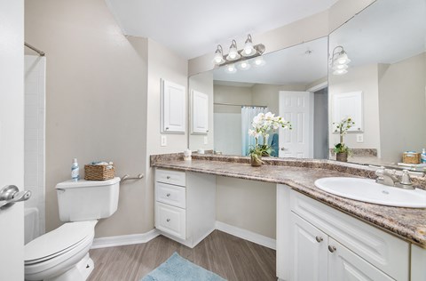 a bathroom with a toilet and a sink and a mirror