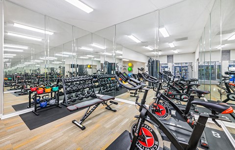 A gym with a row of treadmills and a row of stationary bikes.