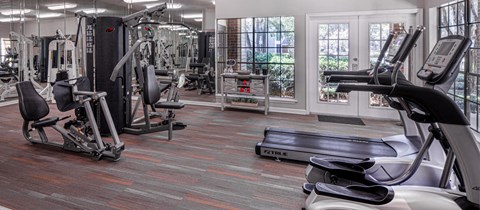the gym is equipped with cardio equipment and weights