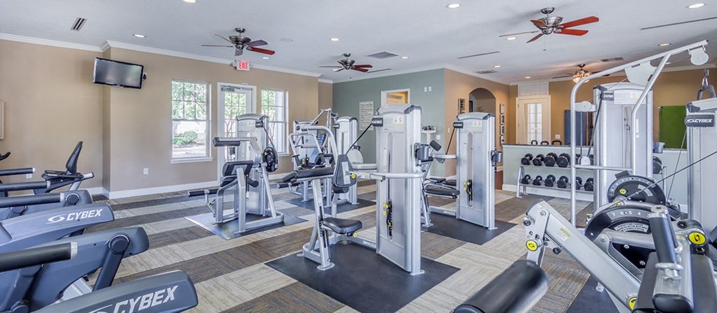 a gym with cardio equipment and weights in a home gym
