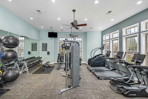 A gym with treadmills, weights, and exercise balls.