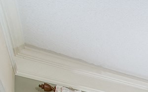 a bedroom with a large bed and a ceiling fan