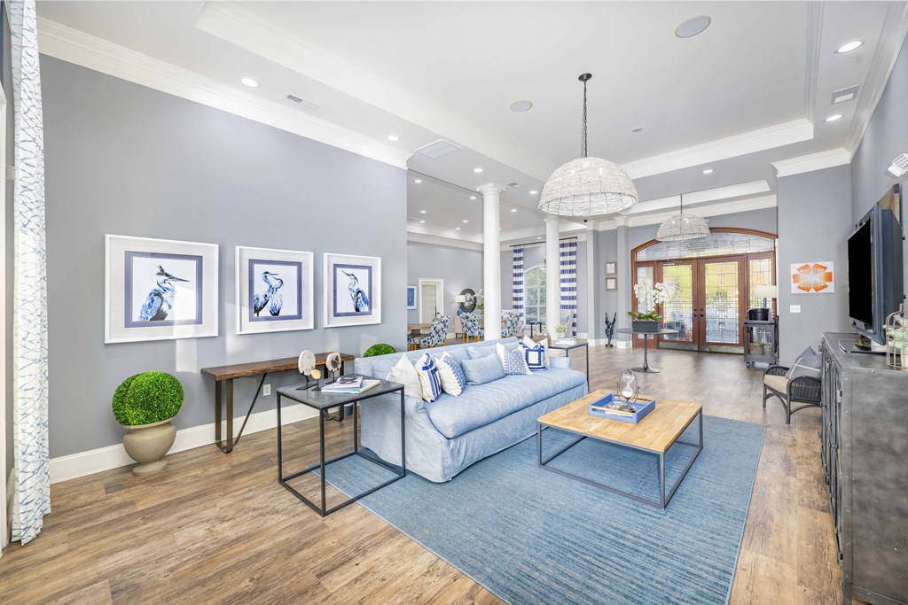 A living room with a white sofa and a blue rug.