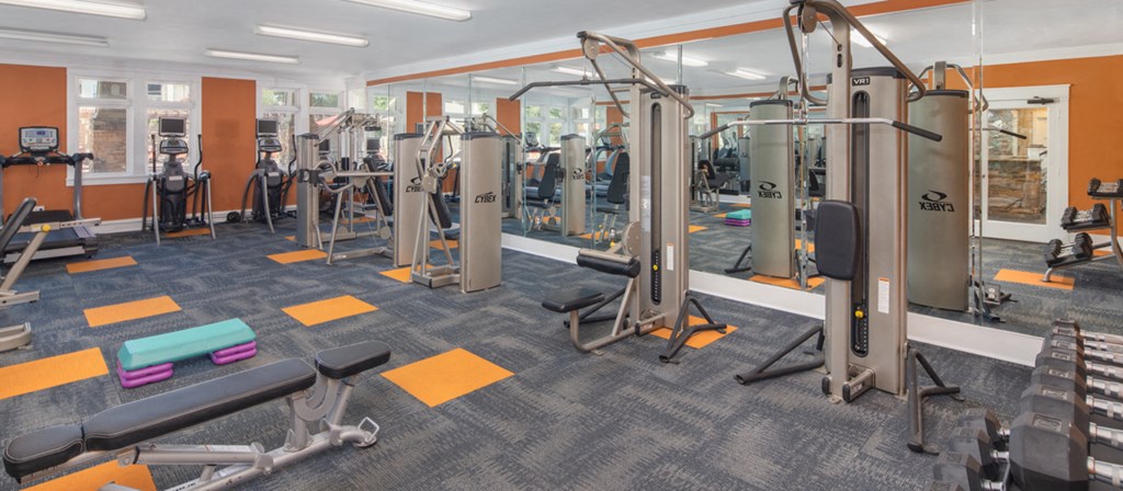 a gym with weights and cardio equipment in a building