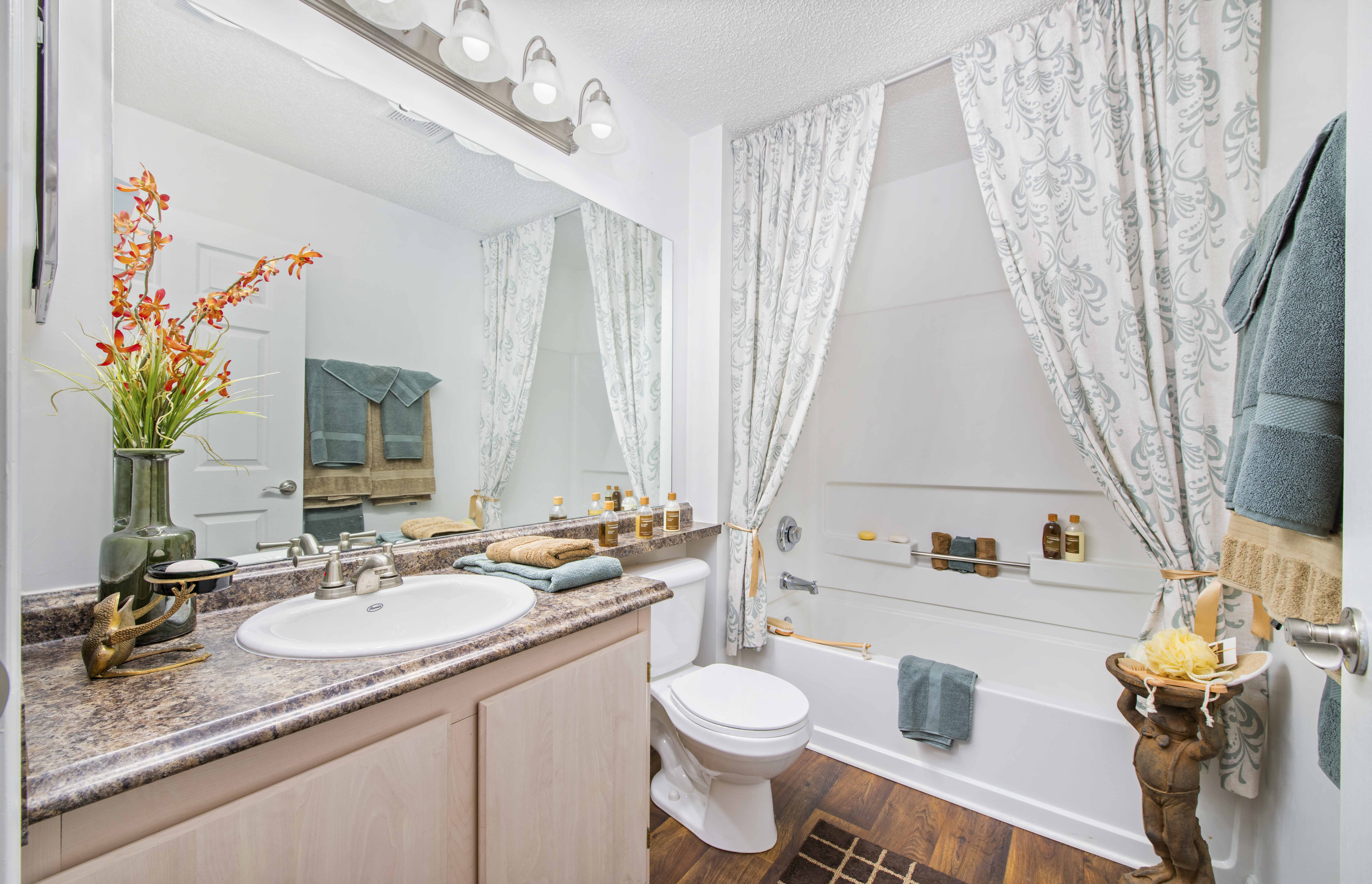a bathroom with a sink and a toilet and a tub
