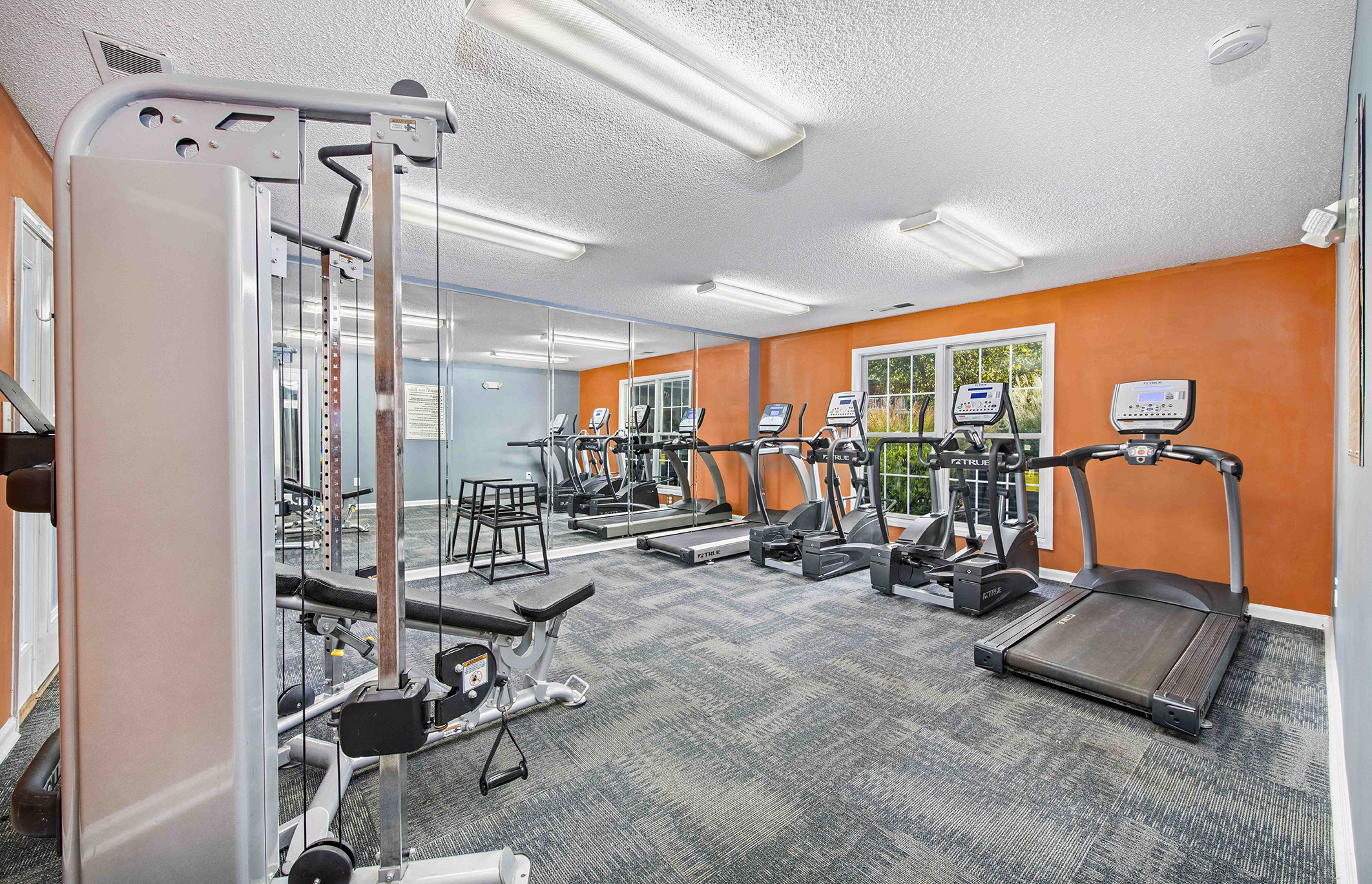 the gym at the enclave at photo