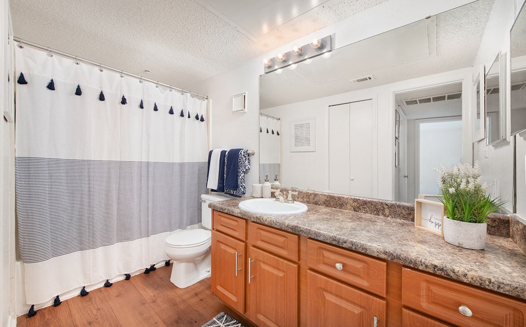 a bathroom with a shower and a sink and a toilet