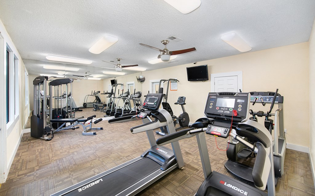 our gym has a lot of exercise equipment for you to use
