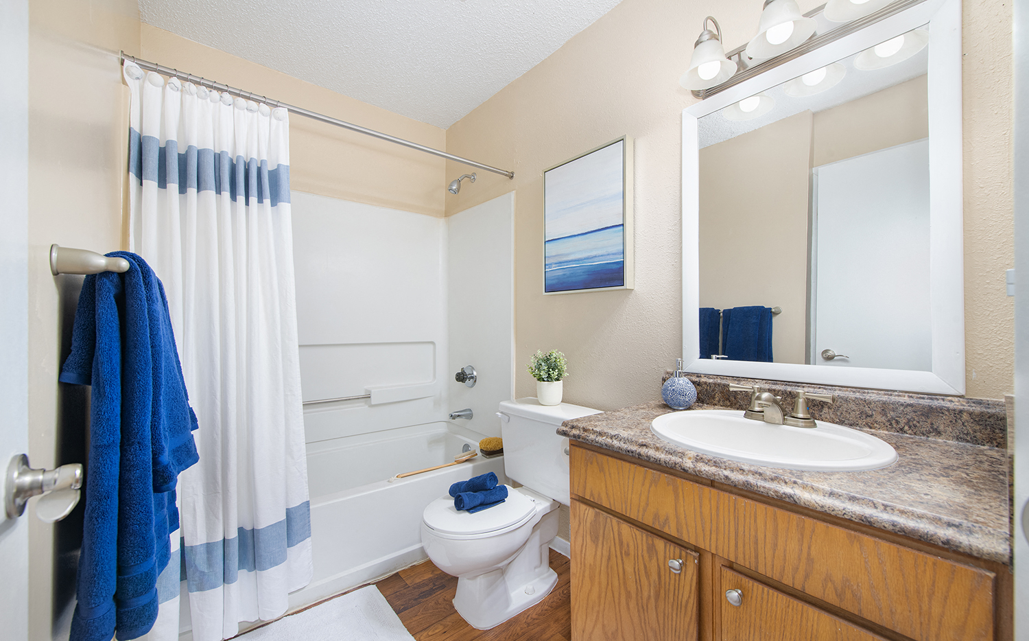 a bathroom with a shower toilet and sink and a mirror