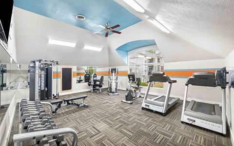 A gym with a variety of equipment including treadmills, weights, and a rowing machine.