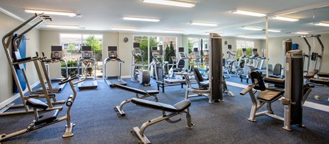 a gym with various cardio machines and weights