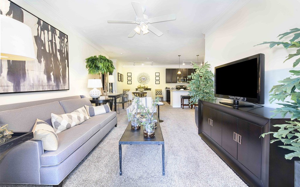 A living room with a grey couch and a black television.