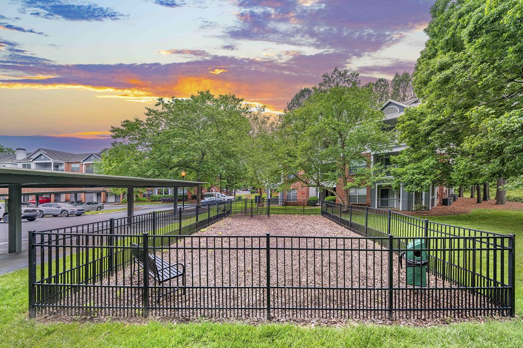 a fenced in area with benches and trees at sunset