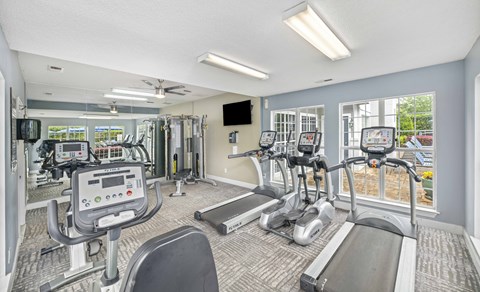 the gym at the preserve at green trees apartments sc