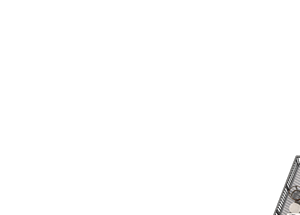 Odessa