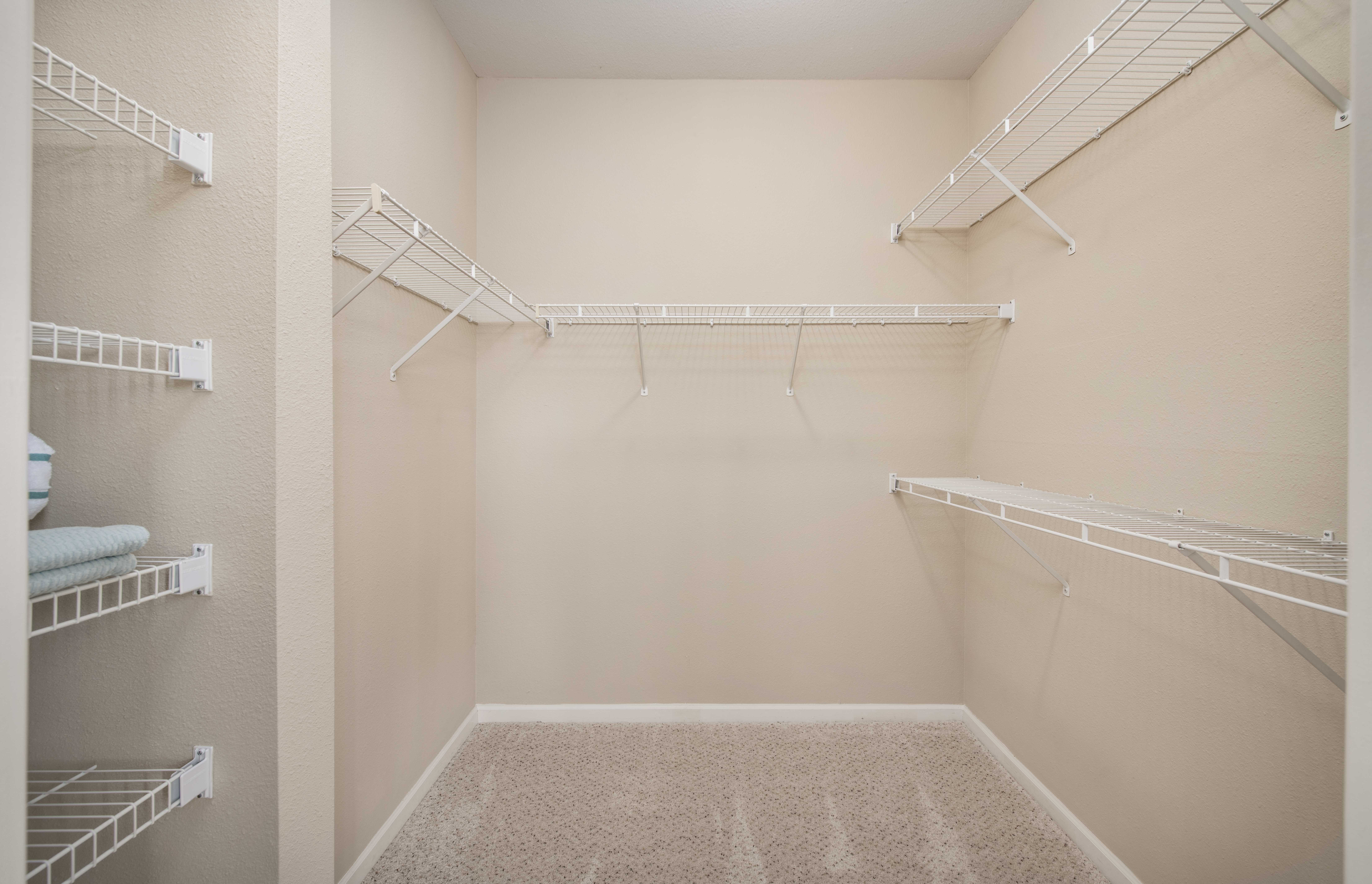 a spacious walk in closet with white shelves and a carpeted floor