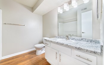 1140 Trinity Pine Lane 1-3 Beds Apartment for Rent - Photo Gallery 5