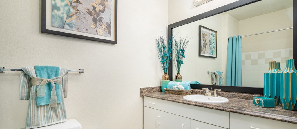a bathroom with a vanity with a mirror and a sink