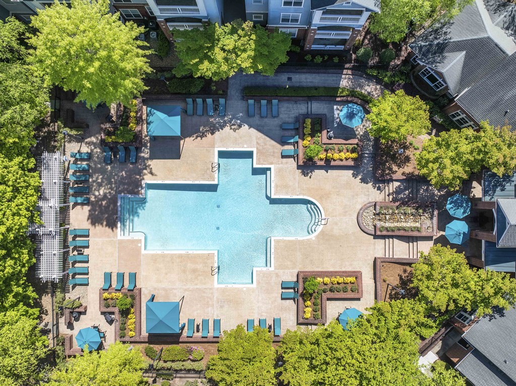 An aerial view of a swimming pool surrounded by trees and lounge chairs.