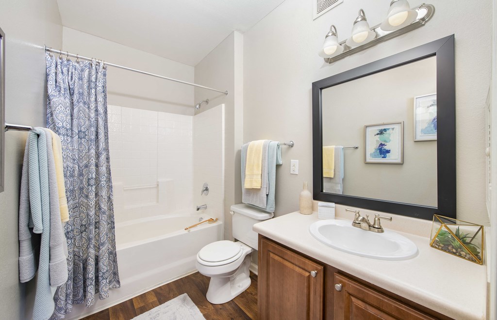 a bathroom with a shower toilet and sink and a mirror