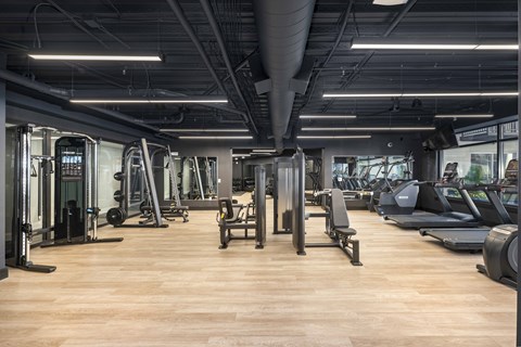 A gym with a variety of equipment including treadmills, weights, and exercise machines.