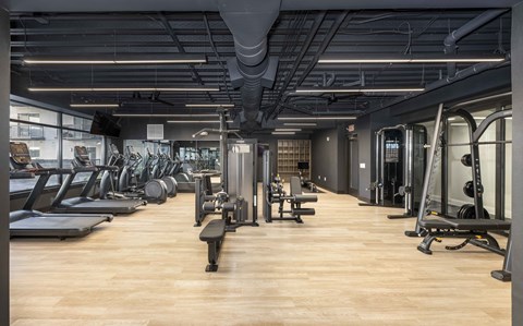 A gym with treadmills, weights, and exercise equipment.