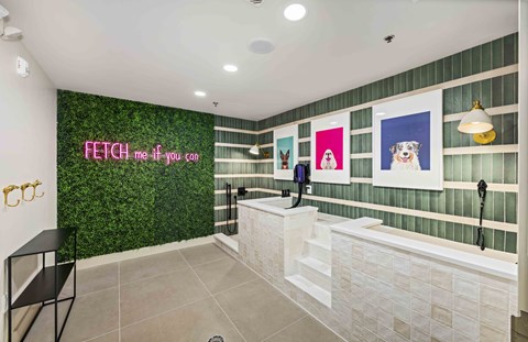 A green wall with a sign that says "FETCH me if you can".