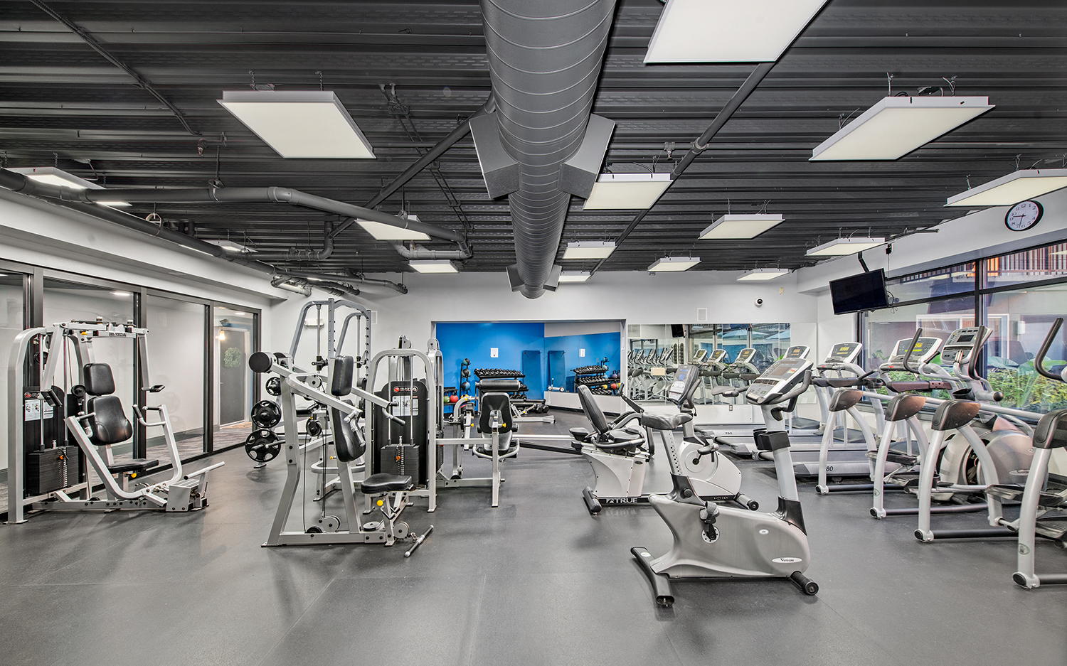 a gym with various exercise machines and weights