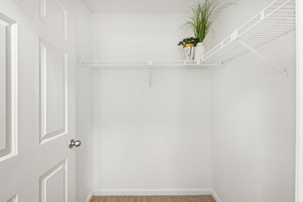 a white closet with a white door and a white shelf with a plant