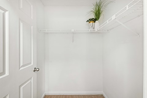 a white closet with a white door and a white shelf with a plant