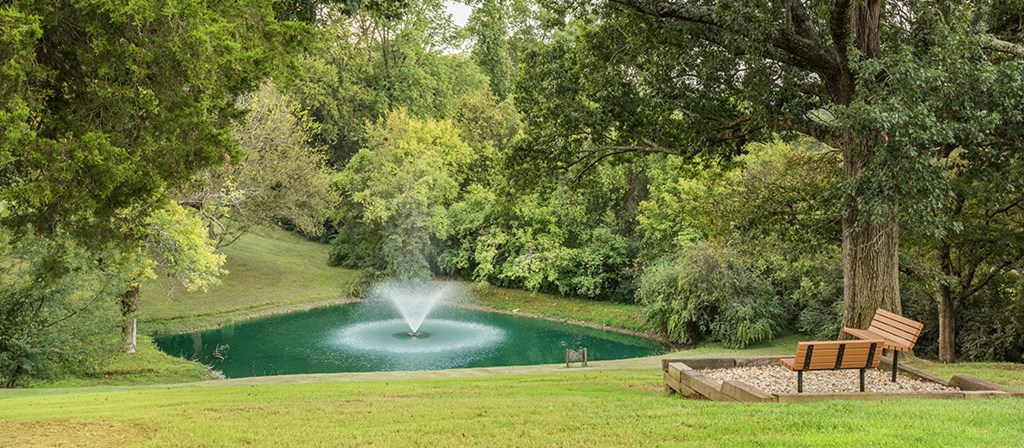 a fountain in the middle of a pond in a park