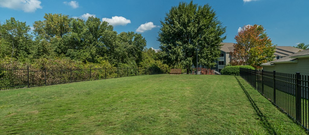 a yard with a black fence and a house with trees