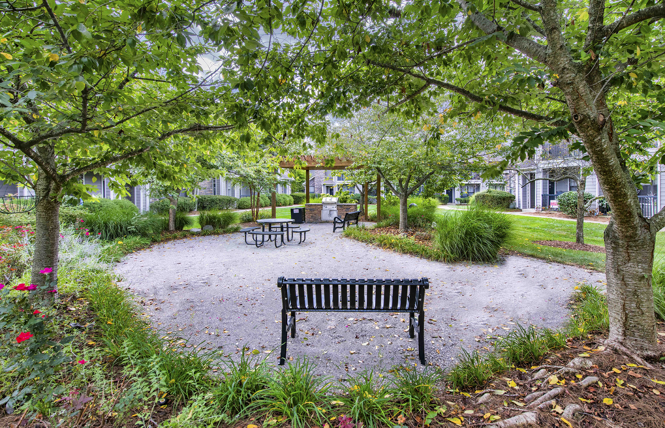 a park with benches and trees in a courtyard