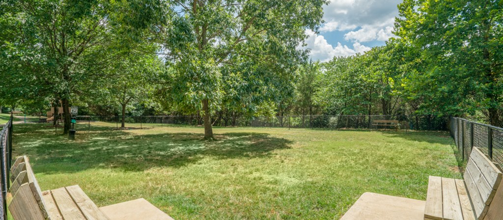 the backyard has a tree and a picnic table