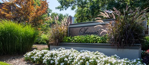 a sign in front of a garden with white flowers