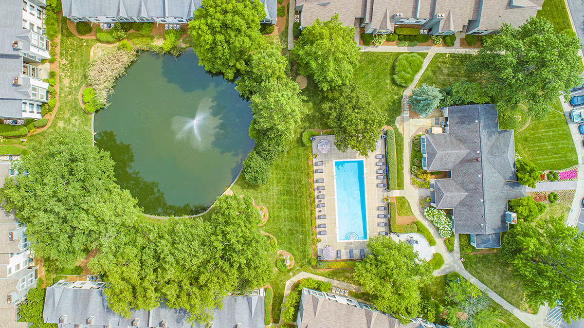 a birds eye view of a backyard with a pool and trees