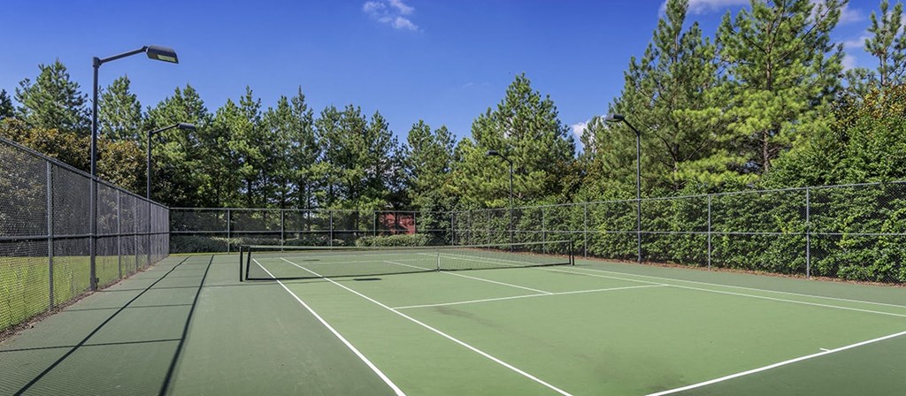 a tennis court with trees in the background on a clear day