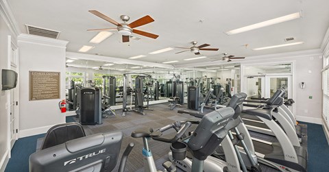 A gym with treadmills and exercise equipment.